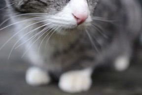 开云注册-出发-转身-冲刺三段对比：美快中控，中稳后追