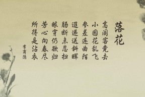 kering.com-“东桃花岛迎来缆绳滑水赛，极限运动尽显风采”