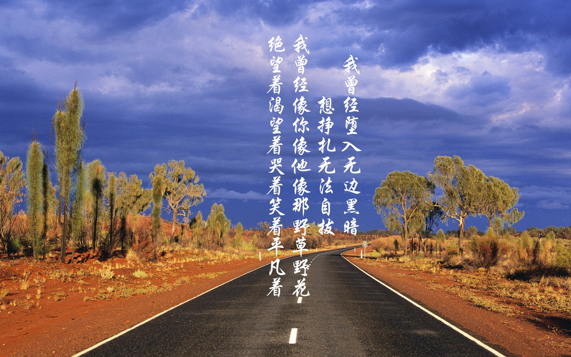 传奇再临:退役巨星担任教练的新篇章,传奇再现最新章节