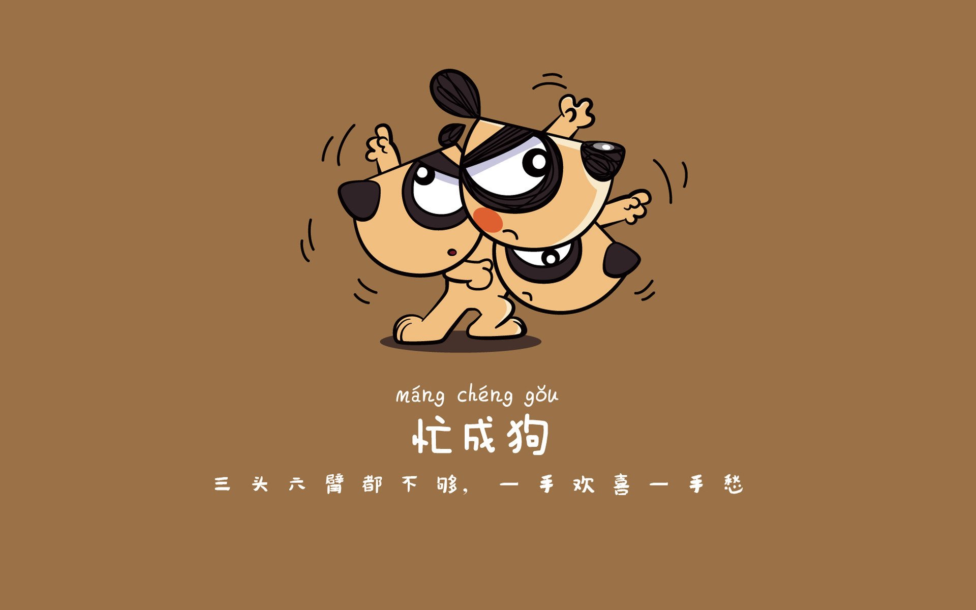 中国女篮赛前动员提升士气 比赛信心倍增，中国女篮前瞻