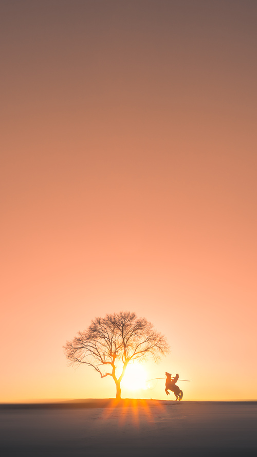 女子400混美将夺铜展新希望，女子400米美国