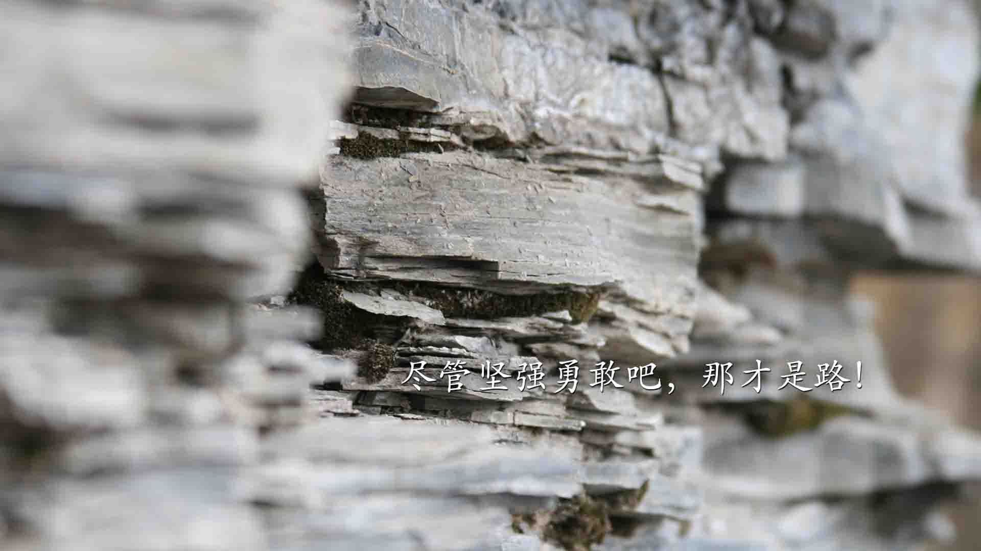 布莱顿利用定位球制造持续威胁，布莱顿首发