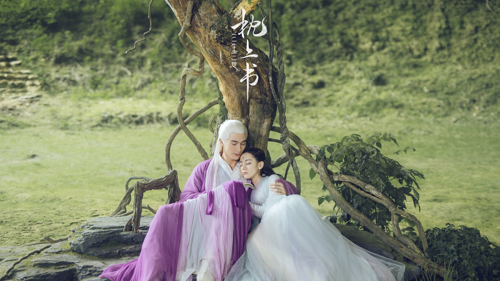 成绩背后：蛙泳转身距离的秘密，蛙泳转身慢动作示范