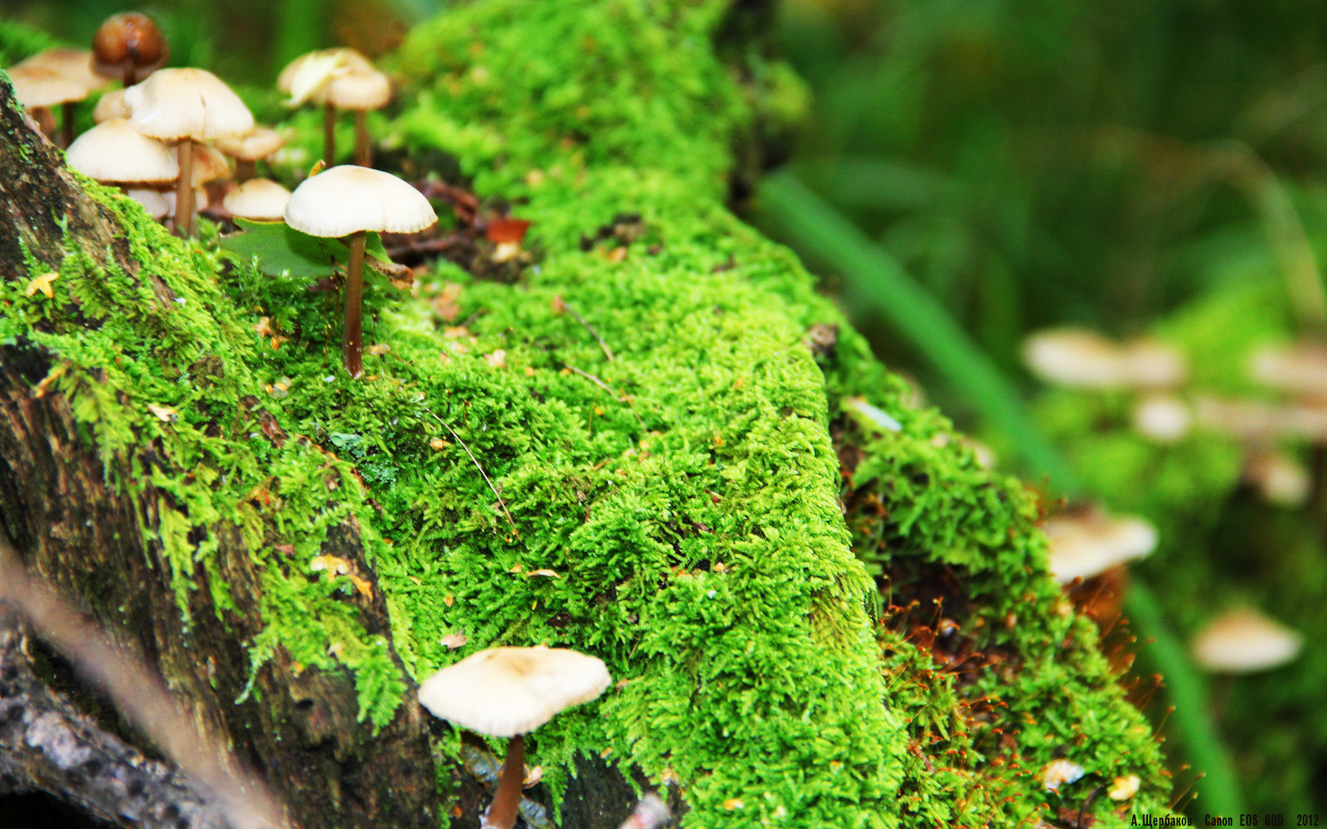 新赛季增加青年球员注册名额比例,升级青年队球员