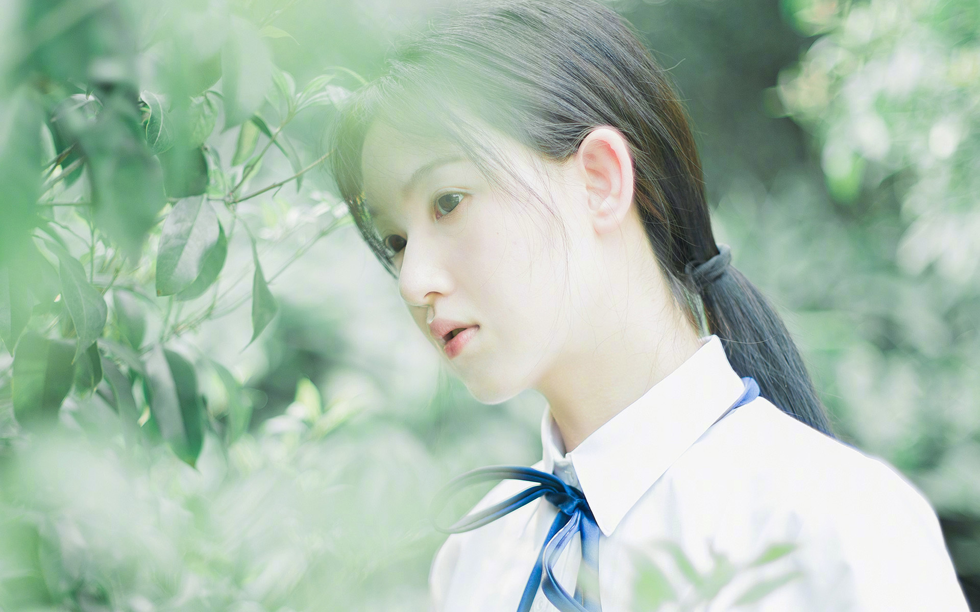 波兰队赛制分析：团体赛制中的人员安排与战术布置，波兰队的比赛