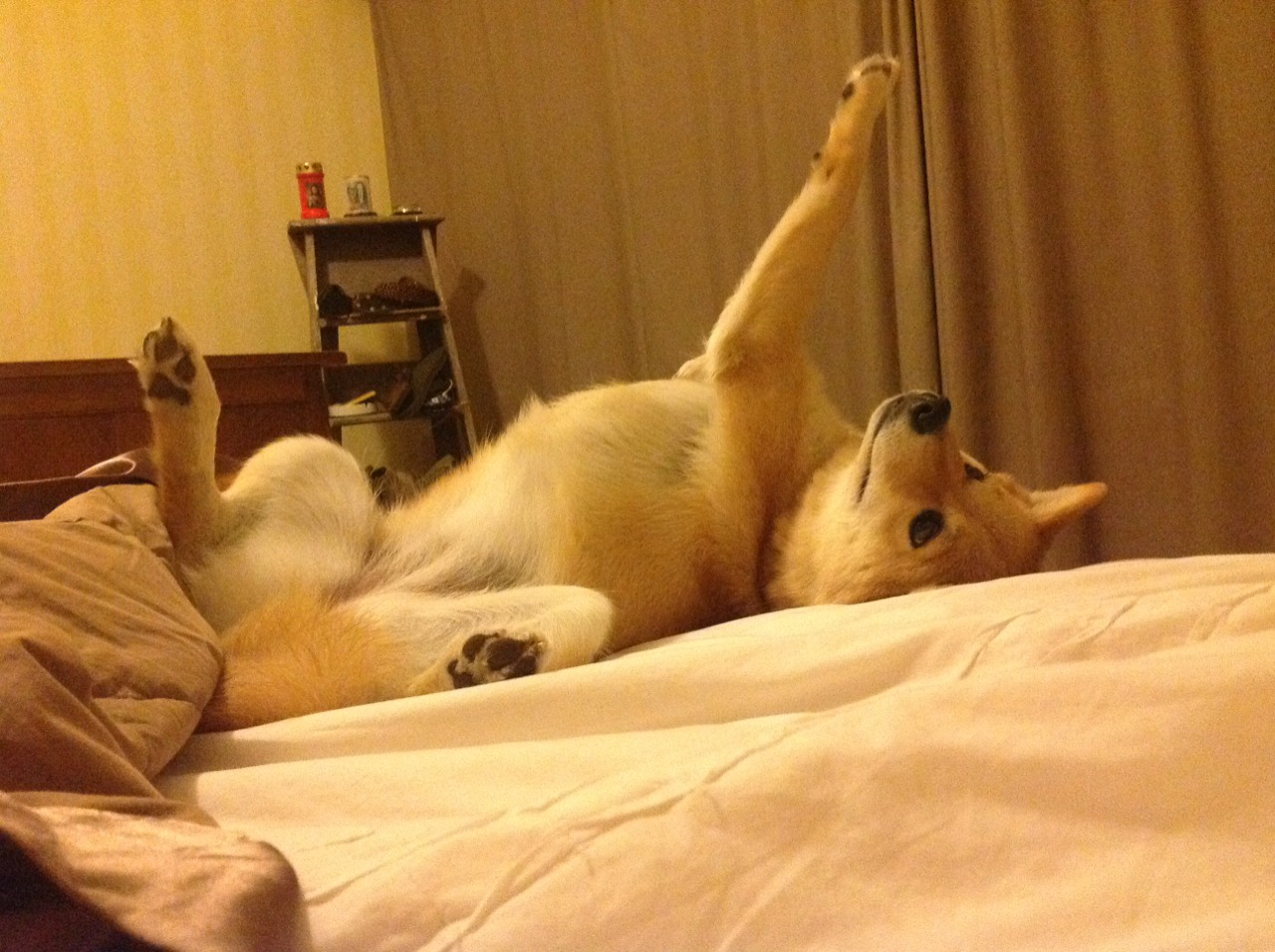 足球技术录像分析缺口大，足球技术录像分析缺口大还是小