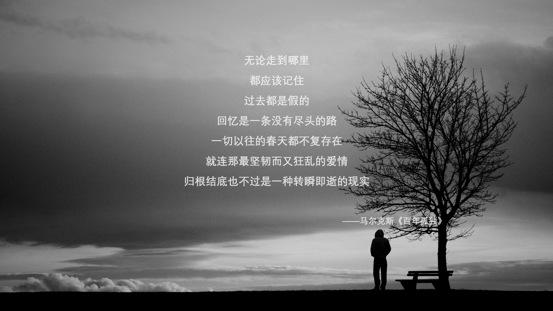 “霍斯特带领南非羚羊队突破重围，助力胜利”