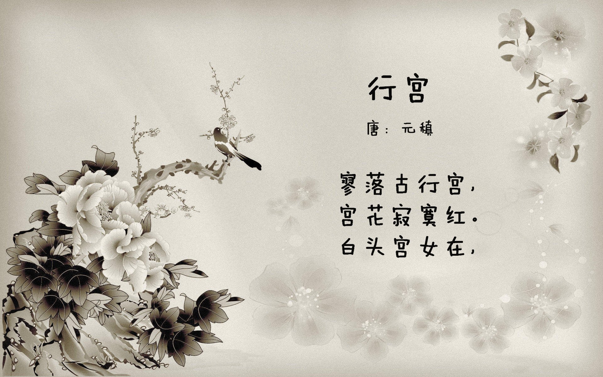 世界杯激情狂热：精彩瞬间不断涌现！，世界杯亲吻