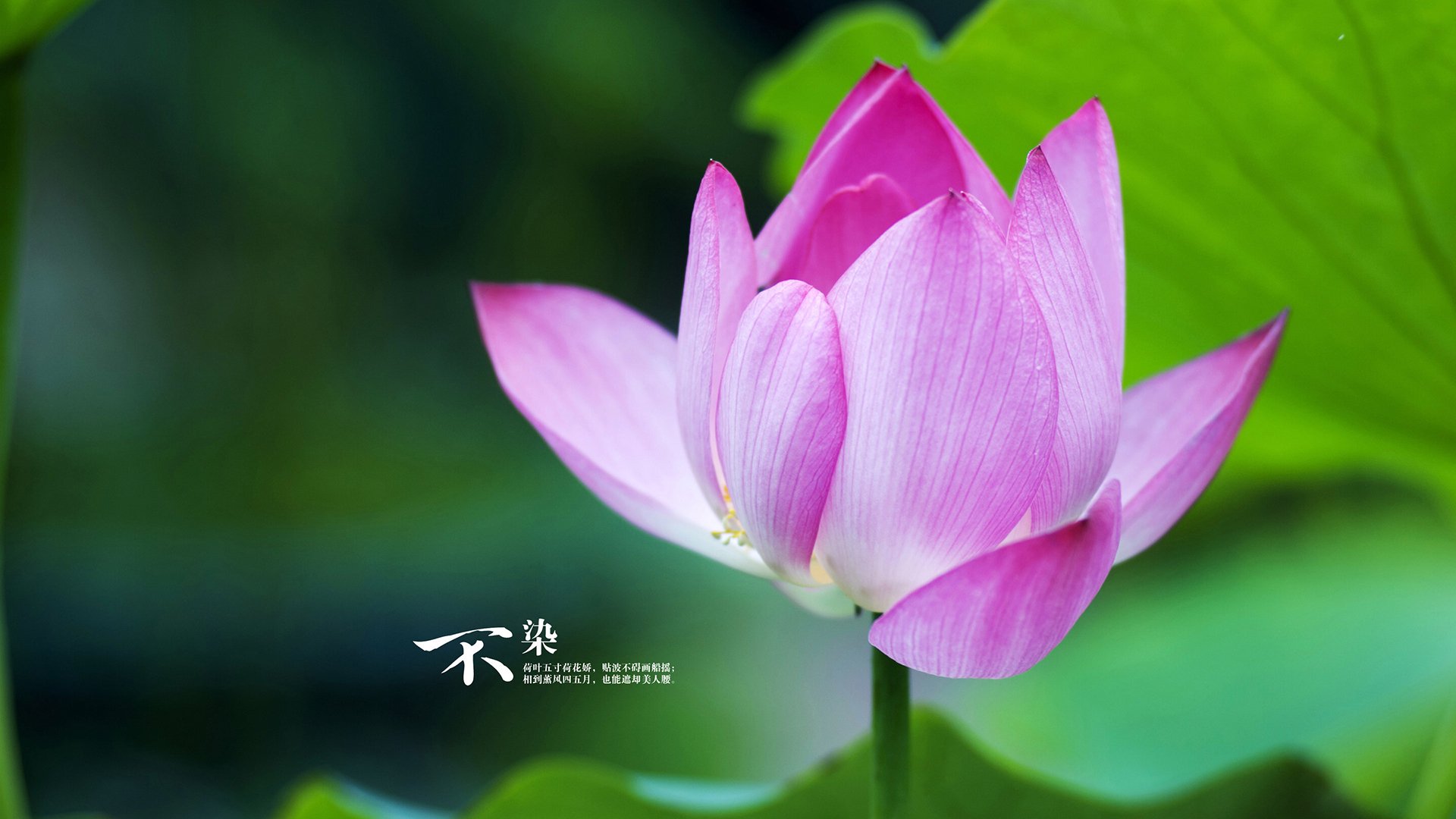 体育新闻中心对抗强队战术,对抗赛新闻稿